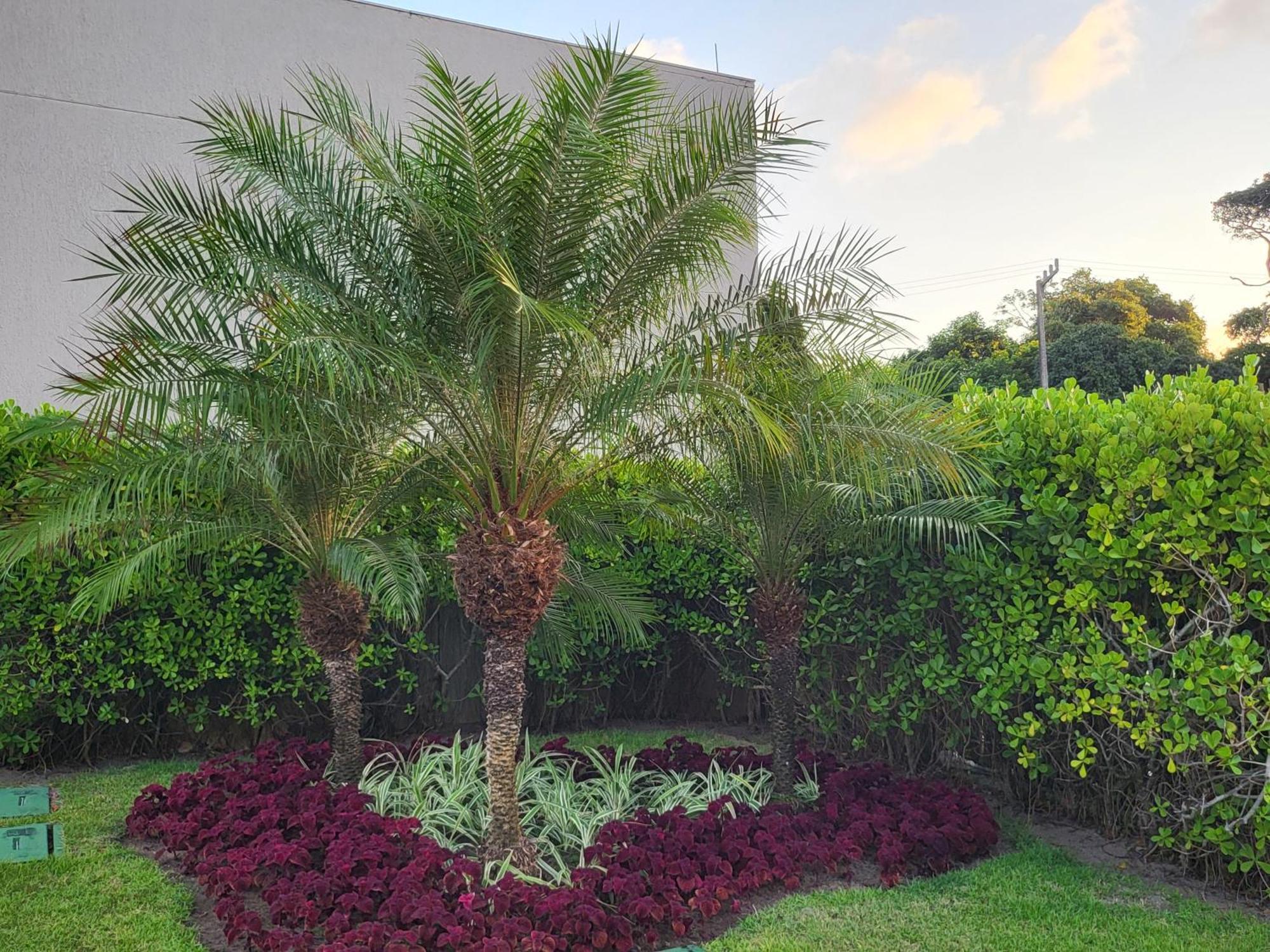 Boutique Ecolife Apartment Porto de Galinhas Exterior photo