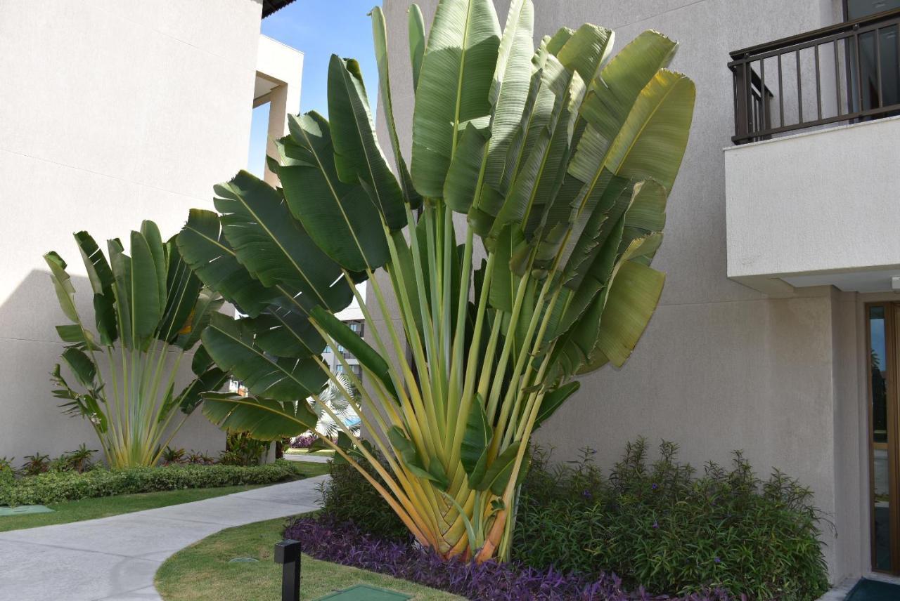 Boutique Ecolife Apartment Porto de Galinhas Exterior photo
